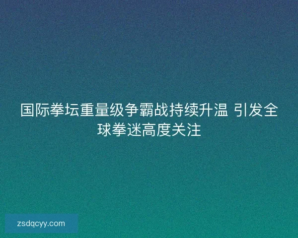 国际拳坛重量级争霸战持续升温 引发全球拳迷高度关注