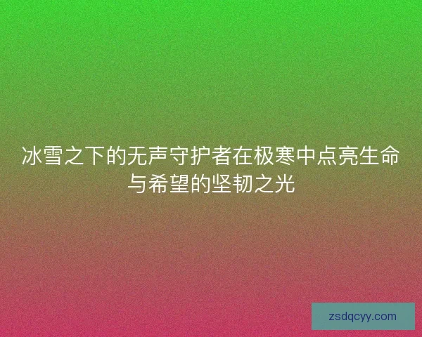 冰雪之下的无声守护者在极寒中点亮生命与希望的坚韧之光