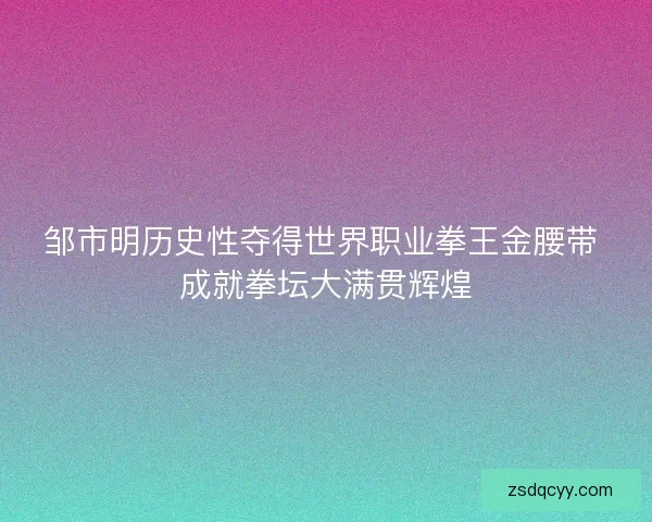 邹市明历史性夺得世界职业拳王金腰带 成就拳坛大满贯辉煌 邹市明历史性夺得世界职业拳王金腰带 成就拳坛大满贯辉煌